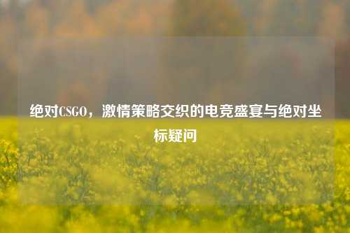 绝对CSGO，激情策略交织的电竞盛宴与绝对坐标疑问