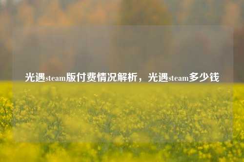 光遇steam版付费情况解析,光遇steam多少钱