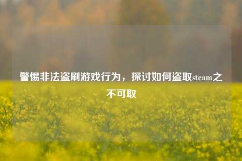 警惕非法盗刷游戏行为,探讨如何盗取steam之不可取