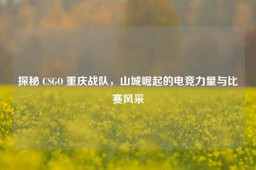 探秘 CSGO 重庆战队,山城崛起的电竞力量与比赛风采