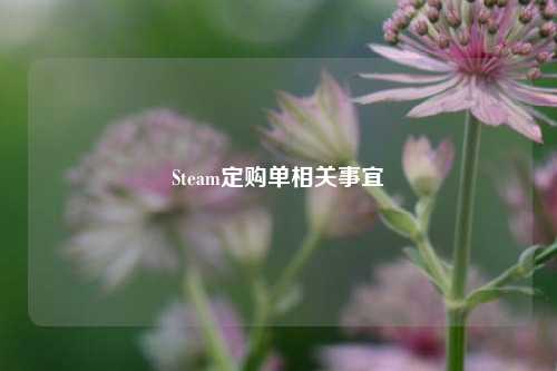 Steam定购单相关事宜