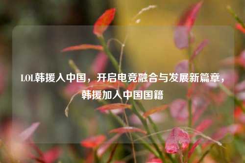 LOL韩援入中国,开启电竞融合与发展新篇章,韩援加入中国国籍