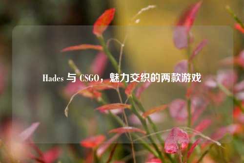 Hades 与 CSGO,魅力交织的两款游戏