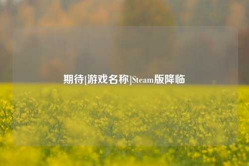 期待[游戏名称]Steam版降临