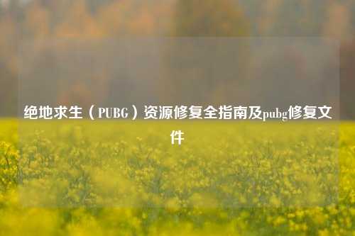 绝地求生（PUBG）资源修复全指南及pubg修复文件