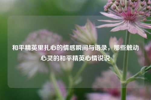 和平精英里扎心的情感瞬间与语录,那些触动心灵的和平精英心情说说