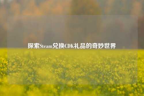 探索Steam兑换CDK礼品的奇妙世界