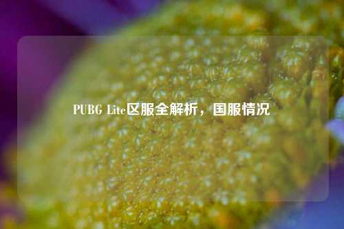 PUBG Lite区服全解析,国服情况