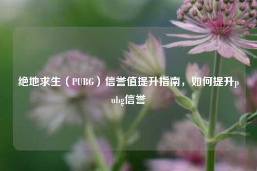 绝地求生(PUBG)信誉值提升指南,如何提升pubg信誉