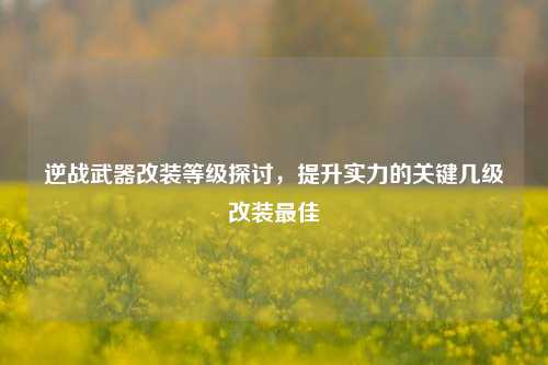 逆战武器改装等级探讨,提升实力的关键几级改装最佳