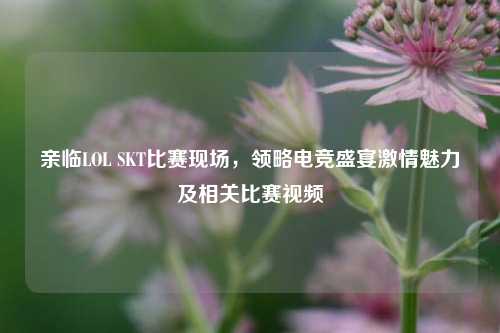 亲临LOL SKT比赛现场,领略电竞盛宴激情魅力及相关比赛视频
