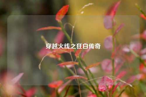 穿越火线之狂白传奇