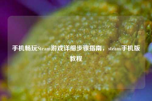 手机畅玩Steam游戏详细步骤指南,steam手机版教程
