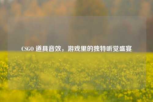 CSGO 道具音效,游戏里的独特听觉盛宴
