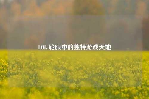 LOL 轮眼中的独特游戏天地
