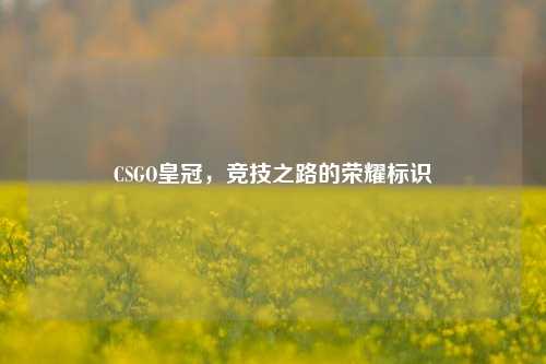 CSGO皇冠,竞技之路的荣耀标识