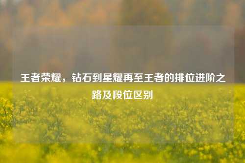 王者荣耀,钻石到星耀再至王者的排位进阶之路及段位区别