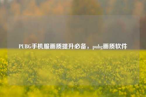 PUBG手机服画质提升必备,pubg画质软件