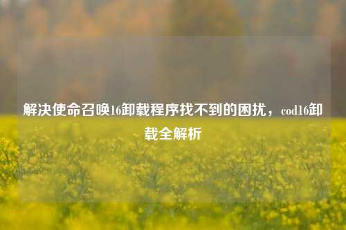 解决使命召唤16卸载程序找不到的困扰,cod16卸载全解析