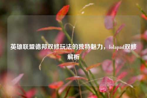 英雄联盟德邦双修玩法的独特魅力,lolapad双修解析