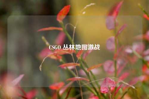 CSGO 丛林地图激战