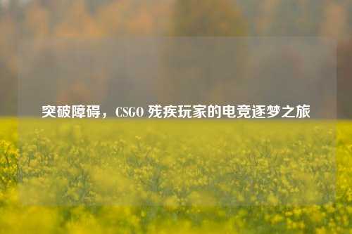 突破障碍，CSGO 残疾玩家的电竞逐梦之旅