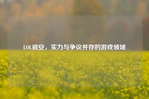 LOL祖安,实力与争议并存的游戏领域