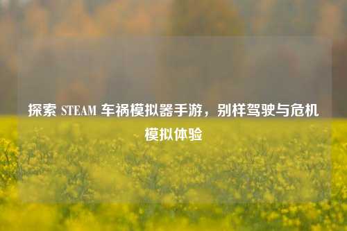 探索 STEAM 车祸模拟器手游,别样驾驶与危机模拟体验