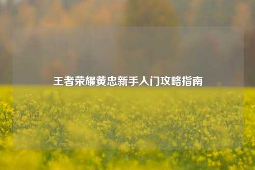 王者荣耀黄忠新手入门攻略指南