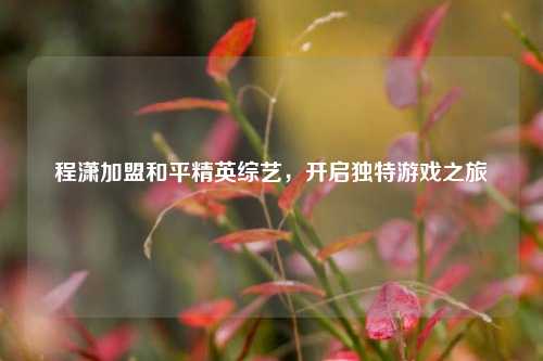 程潇加盟和平精英综艺,开启独特游戏之旅