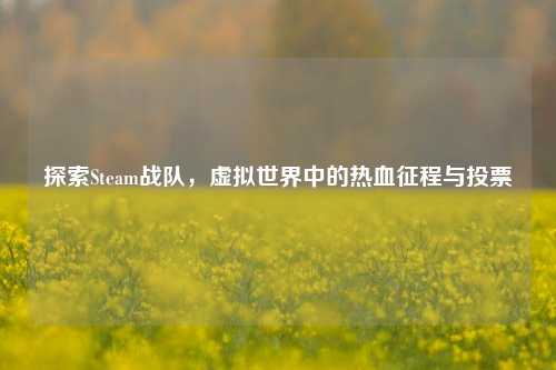 探索Steam战队,虚拟世界中的热血征程与投票
