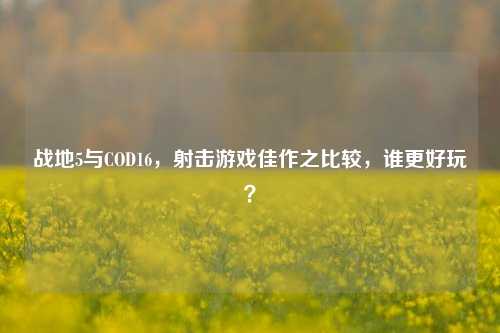战地5与COD16,射击游戏佳作之比较,谁更好玩?