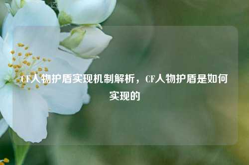 CF人物护盾实现机制解析,CF人物护盾是如何实现的