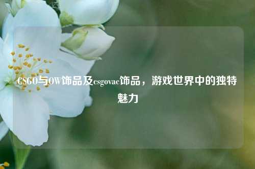 CSGO与OW饰品及csgovac饰品,游戏世界中的独特魅力