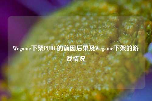 Wegame下架PUBG的前因后果及Wegame下架的游戏情况