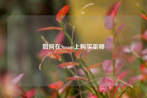 如何在Steam上购买巫师