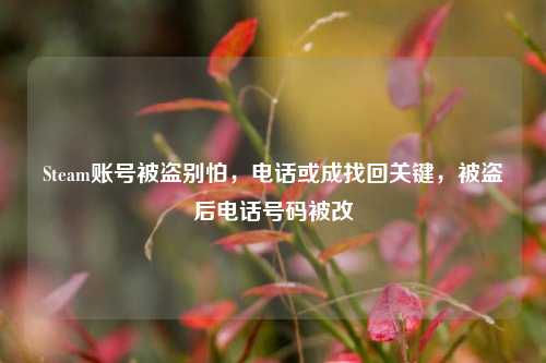 Steam账号被盗别怕,电话或成找回关键,被盗后电话号码被改
