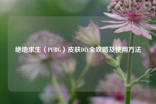 绝地求生(PUBG)皮肤DIY全攻略及使用方法