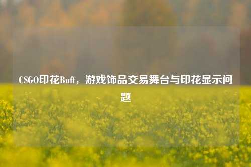 CSGO印花Buff,游戏饰品交易舞台与印花显示问题