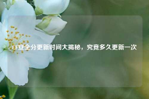 CF安全分更新时间大揭秘,究竟多久更新一次