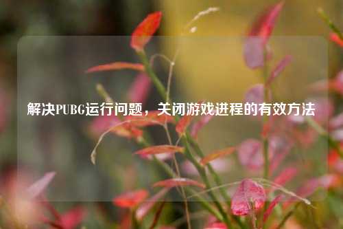 解决PUBG运行问题,关闭游戏进程的有效方法