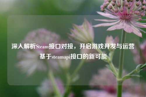 深入解析Steam接口对接,开启游戏开发与运营基于steamapi接口的新可能