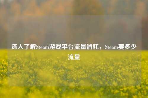 深入了解Steam游戏平台流量消耗,Steam要多少流量