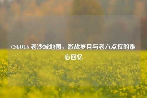 CSGO1.6 老沙城地图,激战岁月与老六点位的难忘回忆