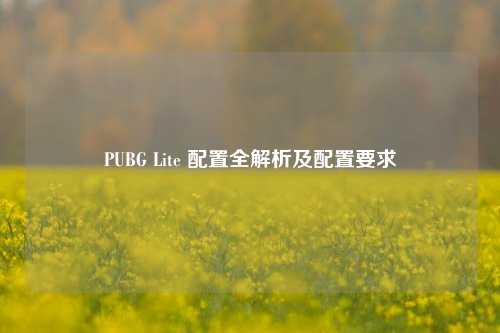 PUBG Lite 配置全解析及配置要求