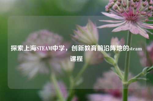 探索上海STEAM中学,创新教育前沿阵地的steam课程
