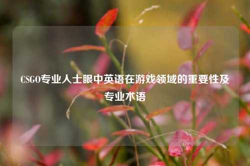 CSGO专业人士眼中英语在游戏领域的重要性及专业术语