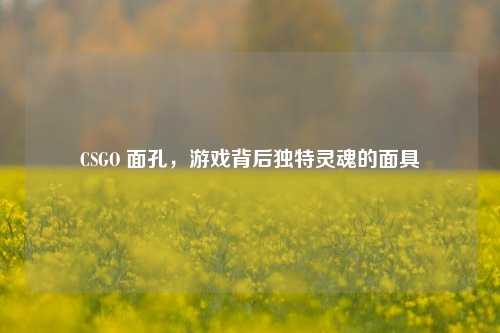CSGO 面孔,游戏背后独特灵魂的面具