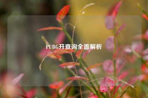 PUBG开查询全面解析