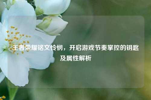 王者荣耀铭文怜悯,开启游戏节奏掌控的钥匙及属性解析